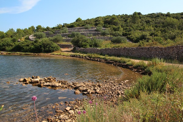 C19857 26-07-2014 uvala Piškera.jpg